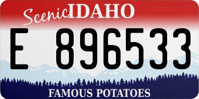 ID license plate E896533
