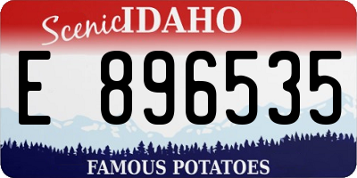 ID license plate E896535