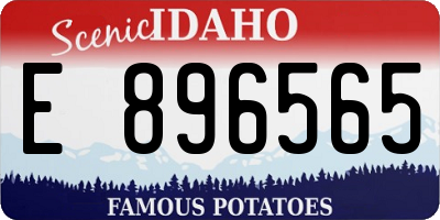 ID license plate E896565