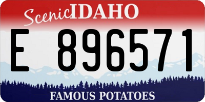ID license plate E896571