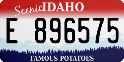 ID license plate E896575