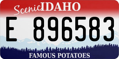 ID license plate E896583
