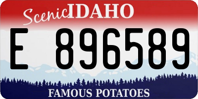 ID license plate E896589