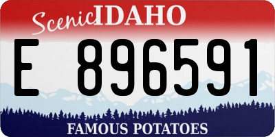 ID license plate E896591