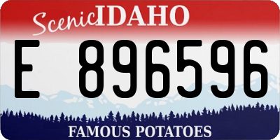 ID license plate E896596