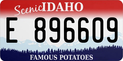 ID license plate E896609