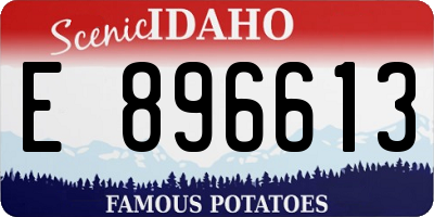 ID license plate E896613