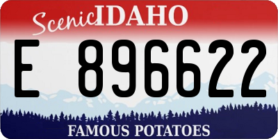 ID license plate E896622