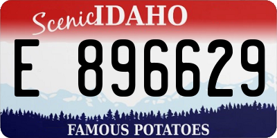 ID license plate E896629