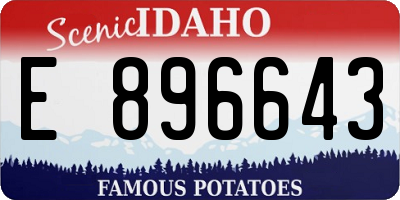 ID license plate E896643