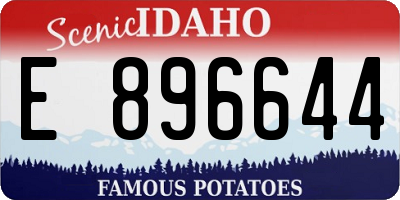 ID license plate E896644
