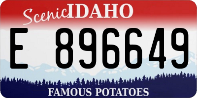 ID license plate E896649