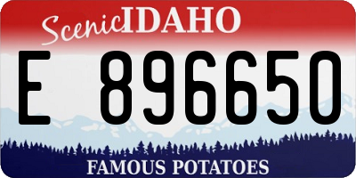 ID license plate E896650