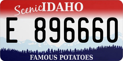 ID license plate E896660