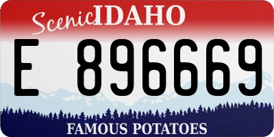 ID license plate E896669