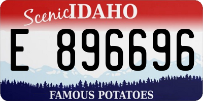 ID license plate E896696