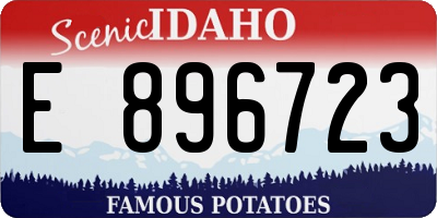 ID license plate E896723