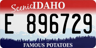 ID license plate E896729