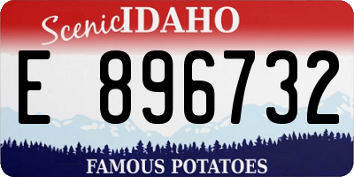 ID license plate E896732