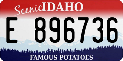 ID license plate E896736