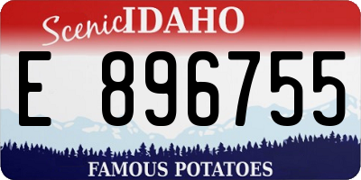 ID license plate E896755