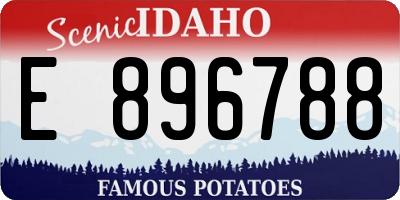 ID license plate E896788