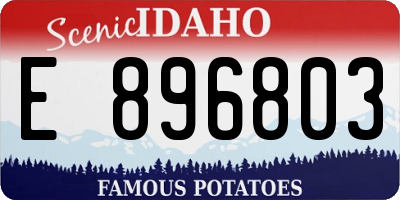 ID license plate E896803