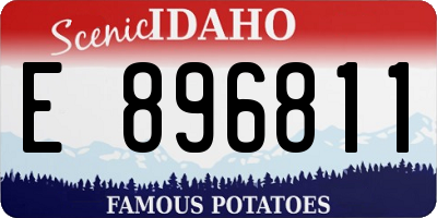 ID license plate E896811