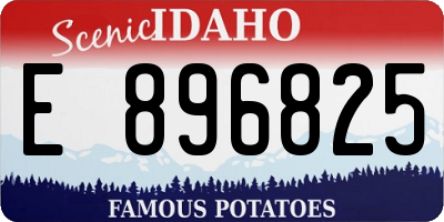 ID license plate E896825