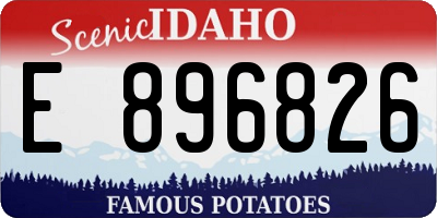 ID license plate E896826