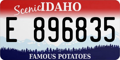 ID license plate E896835