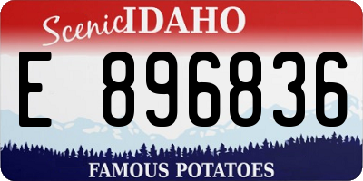 ID license plate E896836