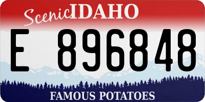 ID license plate E896848