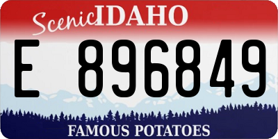 ID license plate E896849