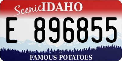 ID license plate E896855
