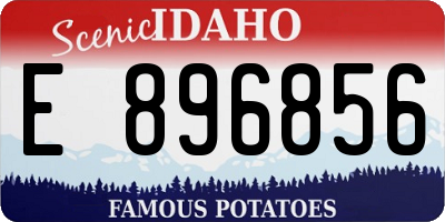 ID license plate E896856