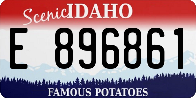 ID license plate E896861