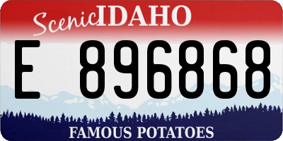 ID license plate E896868