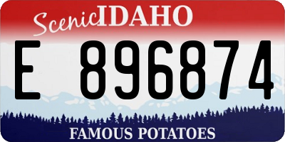 ID license plate E896874