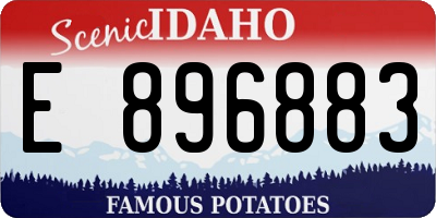 ID license plate E896883