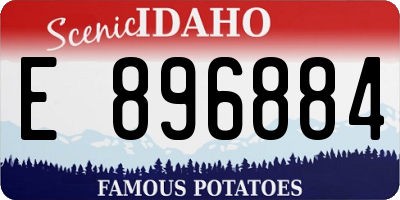 ID license plate E896884