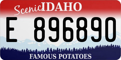 ID license plate E896890