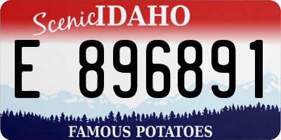 ID license plate E896891