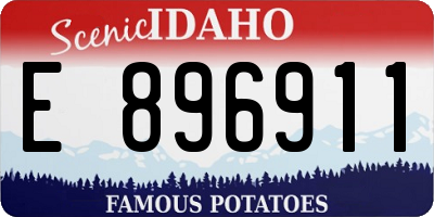 ID license plate E896911
