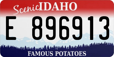 ID license plate E896913
