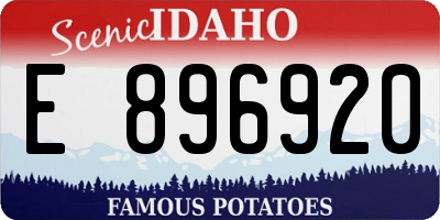 ID license plate E896920