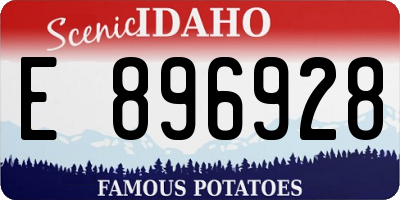 ID license plate E896928
