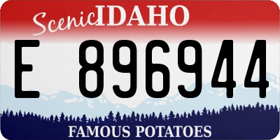 ID license plate E896944
