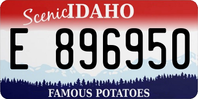 ID license plate E896950