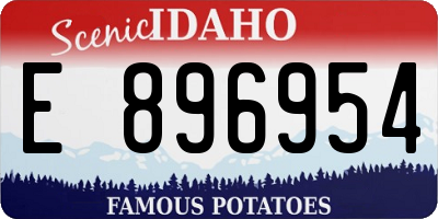 ID license plate E896954